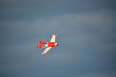D71_4951