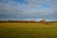 D71_4957