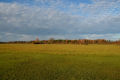 D71_4958