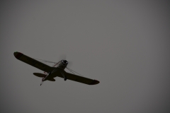 D71_6777