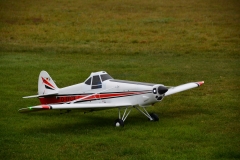 D71_6796