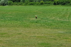 20190630_131216