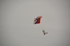 D71_8311