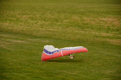 D71_8325