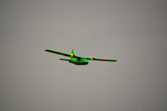 D71_8331