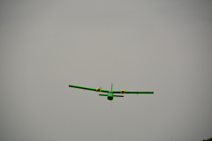 D71_8338