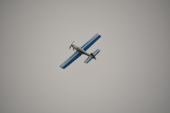 D71_8361