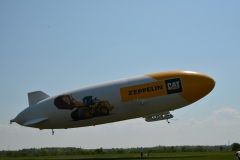 D71_3939