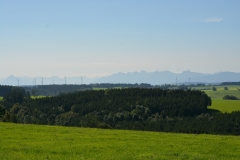 D71_6088