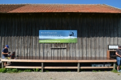 D71_6101