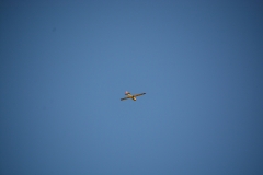 D71_6115