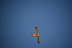 D71_6129