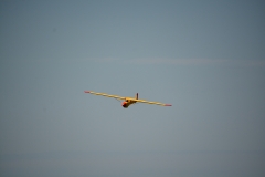 D71_6132