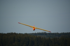 D71_6134