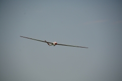 D71_6198