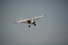 D71_6207
