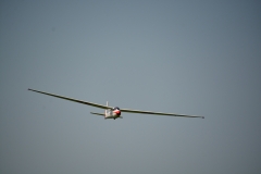 D71_6253