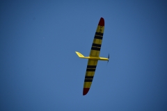 D71_6276