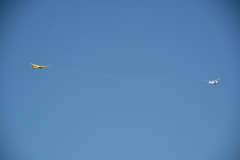 D71_6310