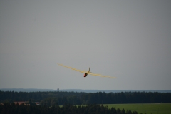 D71_6313