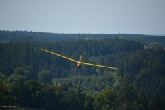 D71_6314