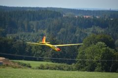 D71_6316