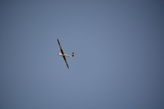 D71_6356