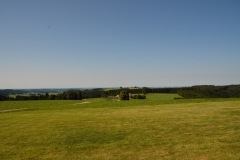 D71_6361