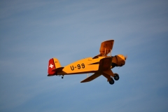 D71_7908