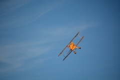 D71_7943
