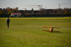 D71_7950