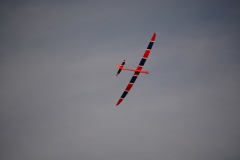 D71_3541