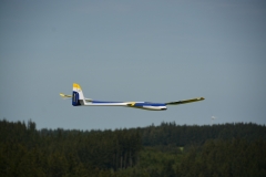 D71_6219