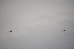 D71_4459