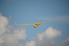 D71_5977