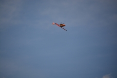 D71_6006