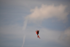 D71_6008