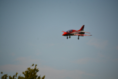 D71_4002