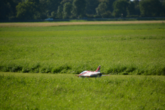 D71_4007