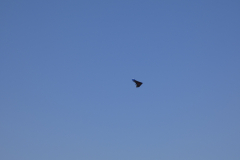1070816