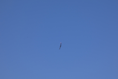 1070818
