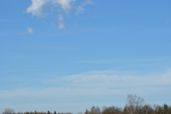D71_1559