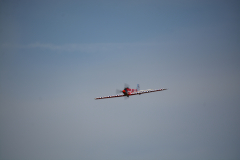 D71_3004
