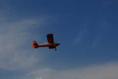 DSC06389