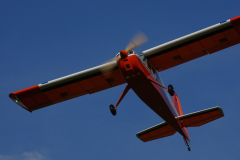 DSC06451