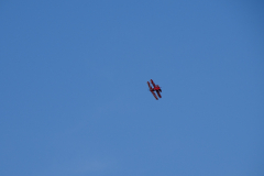 DSC07608