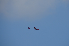 DSC07619