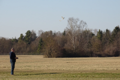 DSC06096