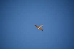 D71_5092