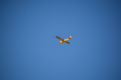 D71_5096